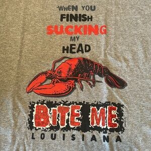 Louisiana logo T shirt NWTs size 2XL